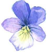 flower-left-blue