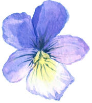 flower-right-blue